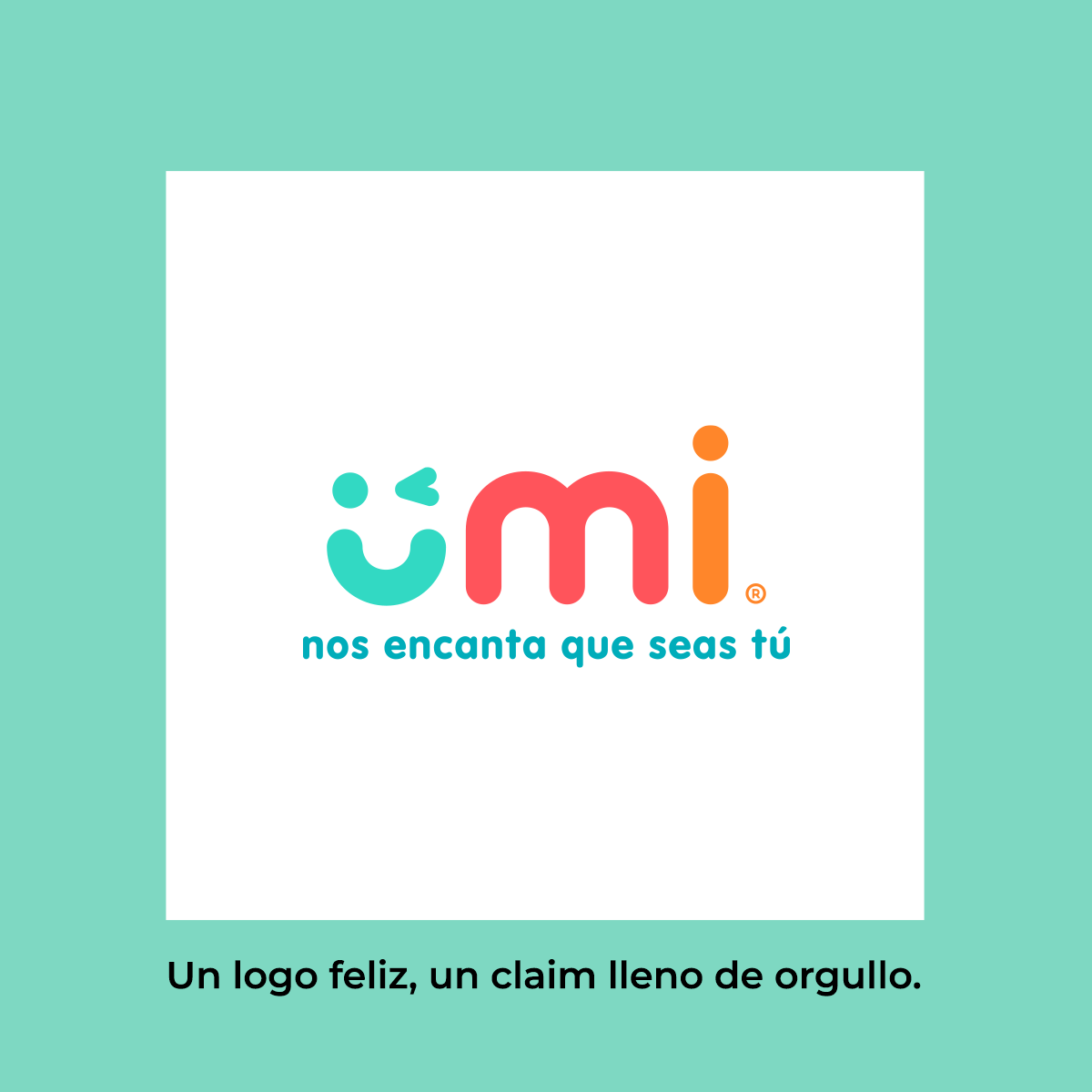 Branding Corporativo y Webdesign Umi portafolio 7 Proonta Agencia Digital